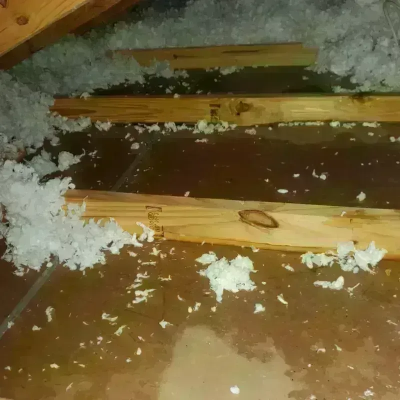 Attic Water Damage in Inwood, WV